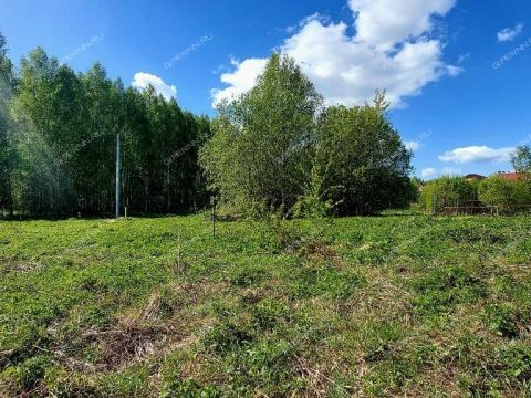 derevnya-berezovka-bogorodskiy-municipalnyy-okrug фото