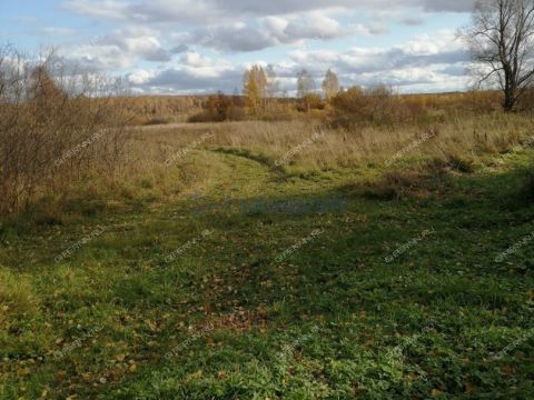 derevnya-vorvan-pavlovskiy-municipalnyy-okrug фото