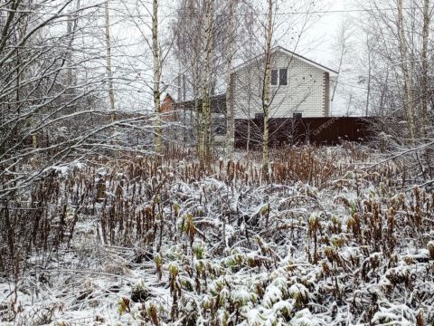 snt-sadovnik-gorodskoy-okrug-bor фото