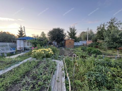dacha-snt-nadezhda фото