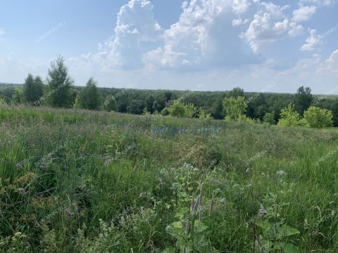 zelenyy-dol-sp-bogorodskiy-municipalnyy-okrug фото