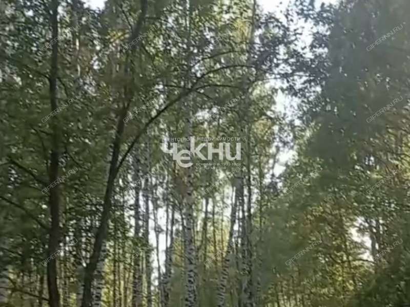 земельный участок 100 соток деревня Досадино
