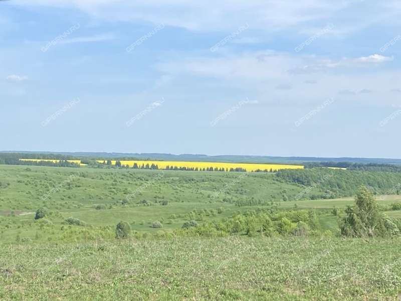 дом на улице Калинина село Большие Бакалды