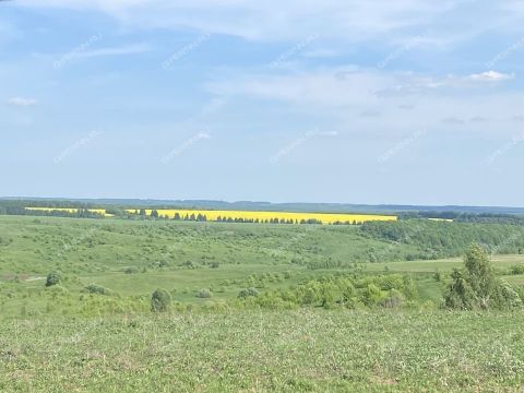 dom-selo-bolshie-bakaldy-buturlinskiy-municipalnyy-okrug фото