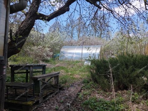 dacha-gorod-vorsma-pavlovskiy-municipalnyy-okrug фото