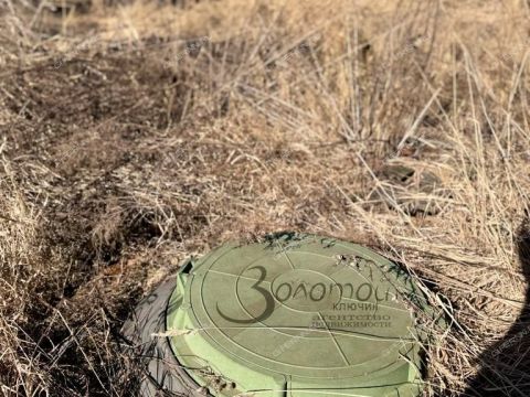 dom-derevnya-tugarino-gorodskoy-okrug-bor фото