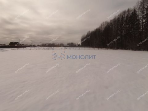 derevnya-prudy-bogorodskiy-municipalnyy-okrug фото