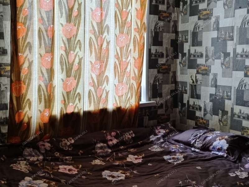 трёхкомнатная квартира на Красносормовской улице дом 16