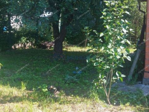 dacha-derevnya-kremenki-dalnekonstantinovskiy-rayon фото