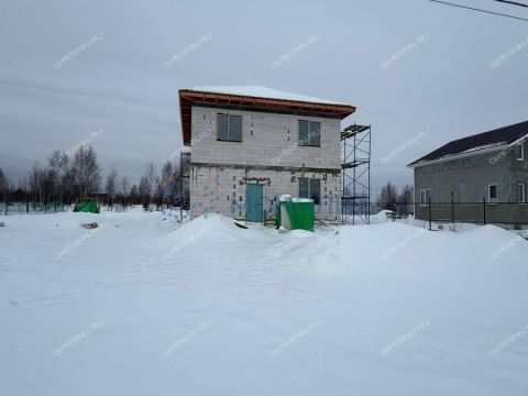 kottedzh-derevnya-shumilovo-bogorodskiy-municipalnyy-okrug фото