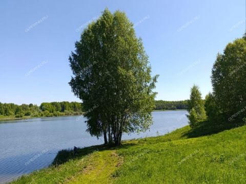 3-komnatnaya-derevnya-bolshaya-svecha-gorodskoy-okrug-shahunya фото