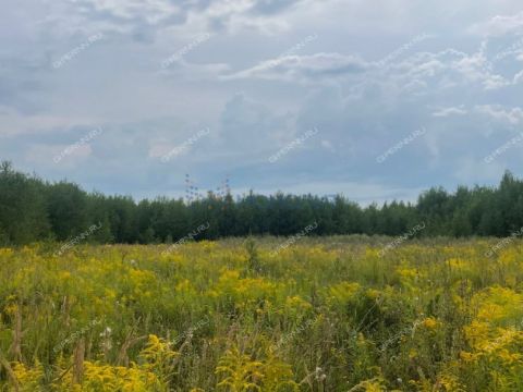 derevnya-zaozere-bogorodskiy-municipalnyy-okrug фото