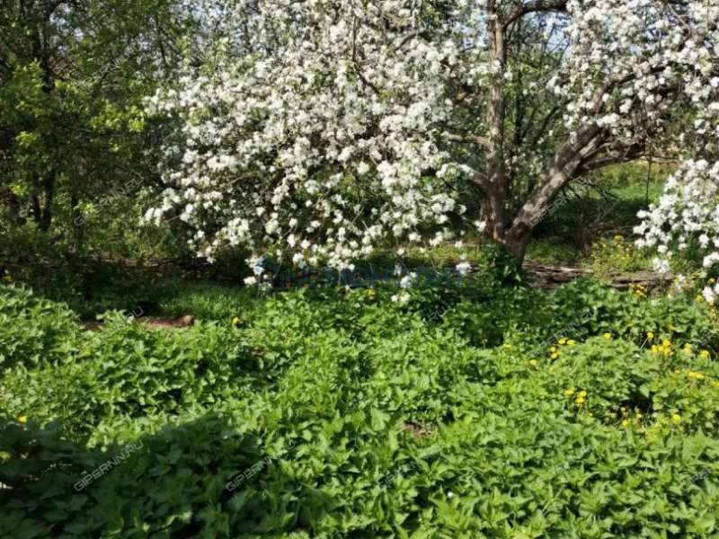 дом на улице Коминтерна рабочий посёлок Малое Козино