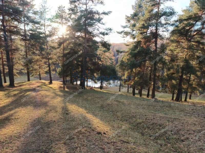 земельный участок 14,2 сотки - садоводческое товарищество Луч-2 тер