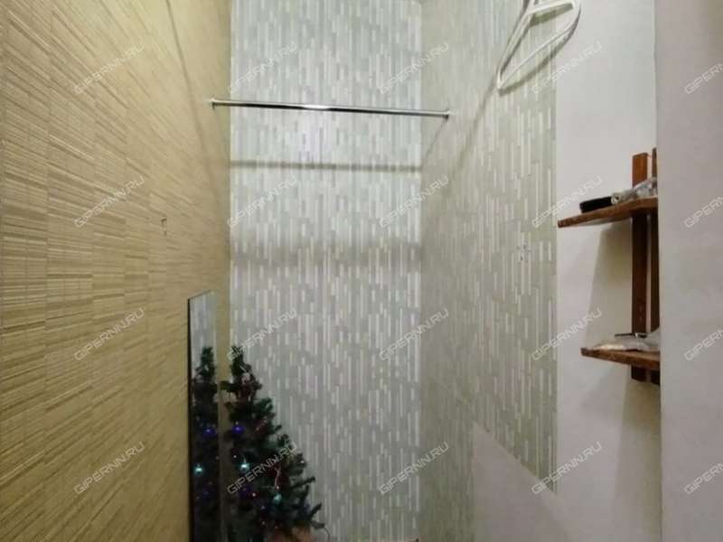 однокомнатная квартира на Парковой улице дом 10 город Кстово