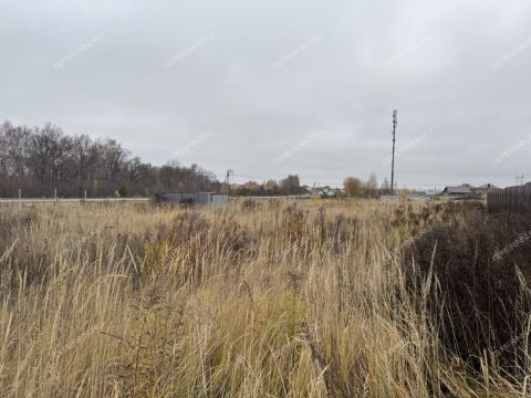 selo-efimevo-bogorodskiy-municipalnyy-okrug фото