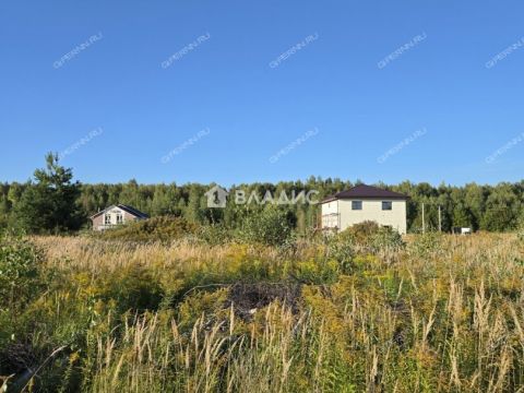 selo-bezvodnoe-kstovskiy-rayon фото