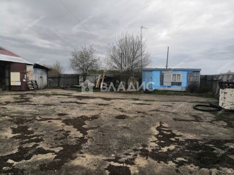 derevnya-barkino-bogorodskiy-municipalnyy-okrug фото