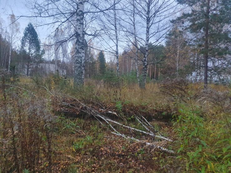 Фото: Ксения Ражева