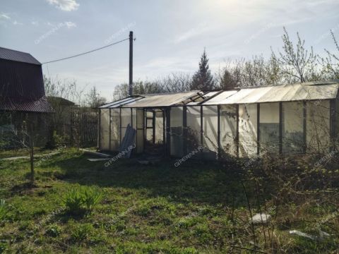 gorod-bor-gorodskoy-okrug-bor фото
