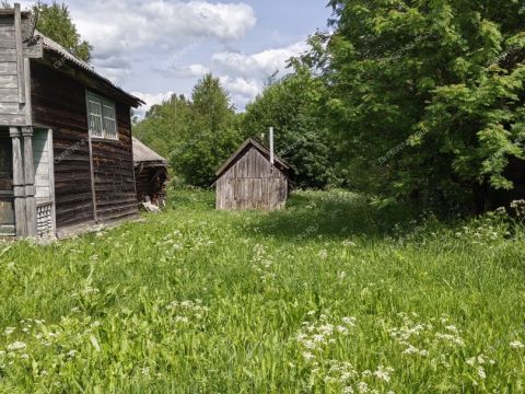 dom-derevnya-plyuhino-semenovskiy-gorodskoy-okrug фото
