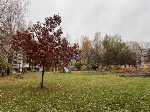 2-komnatnaya-ul-vaneeva-d-116 фото