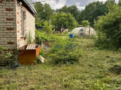 dacha фото