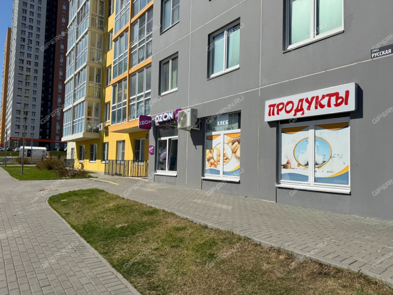 однокомнатная квартира на Русской улице улице дом 18 деревня Анкудиновка