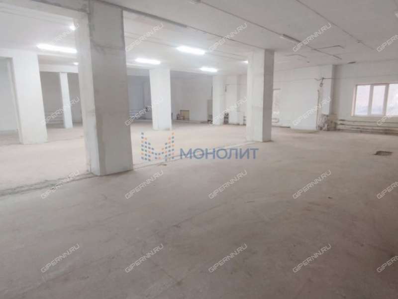 помещение под помещение свободного назначения, производственную площадь на Лесной улице город Кстово