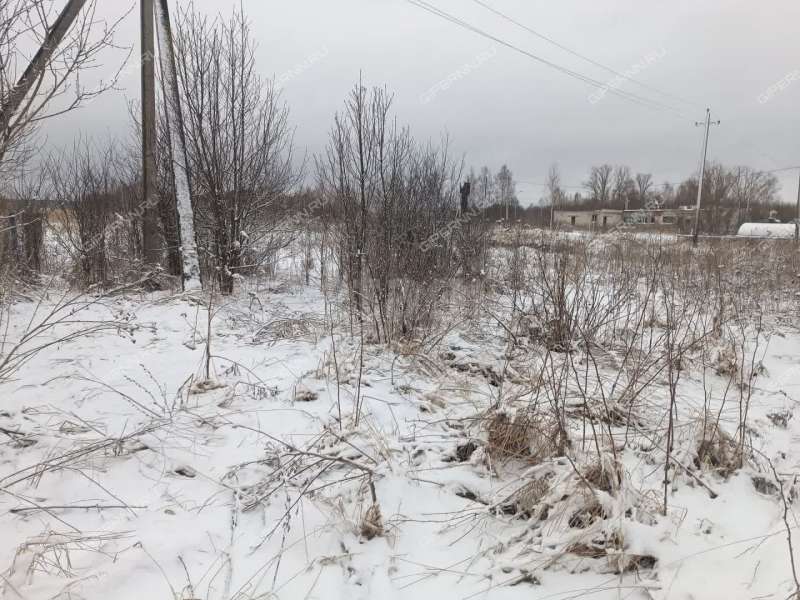 земельный участок 25 соток Центральная улица село Криуша