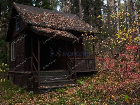 baza-otdyha-geolog-derevnya-syrohvatovo-kantaurovskiy-selsovet-ter-gorodskoy-okrug-bor фото