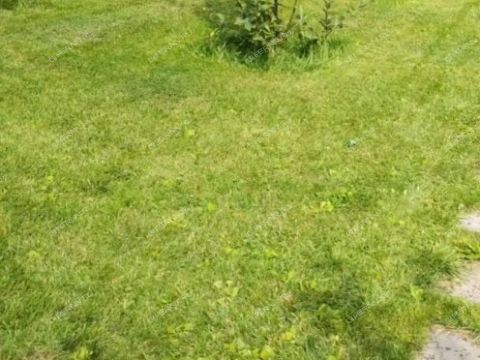 kottedzh-selo-chernyshiha-kstovskiy-rayon фото