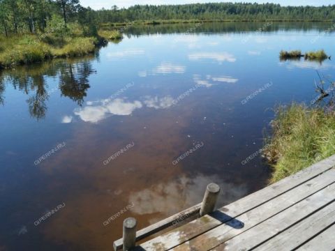 poselok-ozernyy-gorodskoy-okrug-vyksa фото