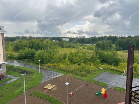 1-komnatnaya-gorod-kstovo-kstovskiy-rayon фото