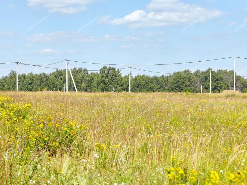 земельный участок 10,8 сотки Ягодная село Ефимьево