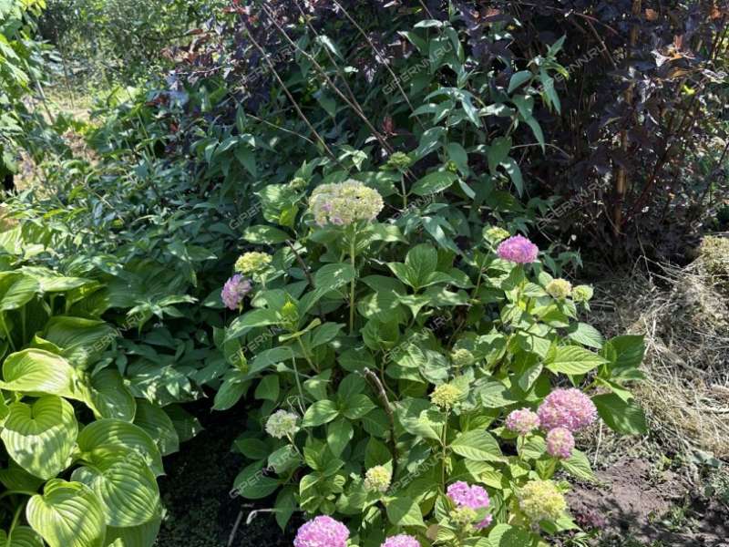 дача на СНТ Приволжье-2 сад город Кстово