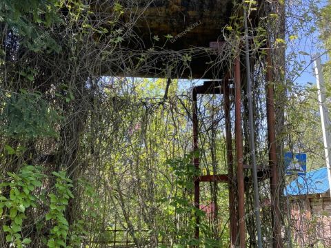 dacha-derevnya-syrohvatovo-gorodskoy-okrug-bor фото